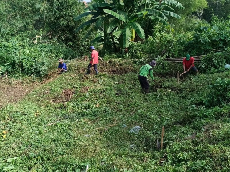 1f26f5b7 80d1 4876 B69c 8e980614dcfe